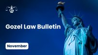 November 2025 Immigration Bulletin