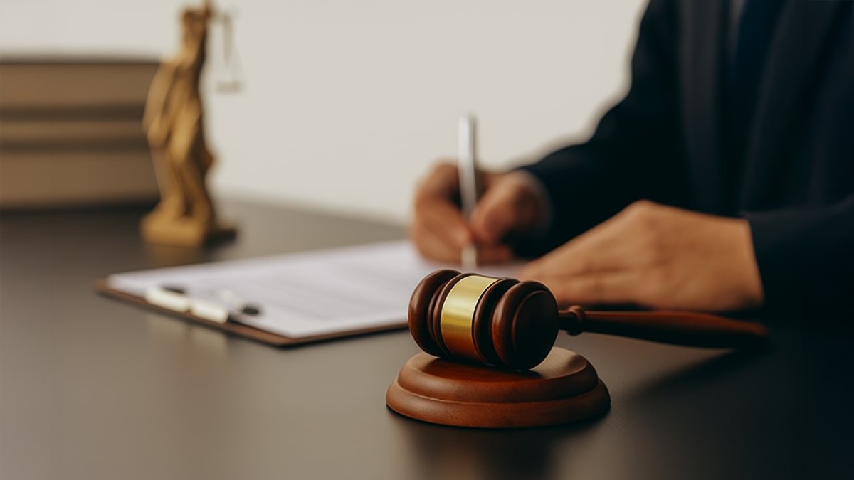 mandamus lawyer